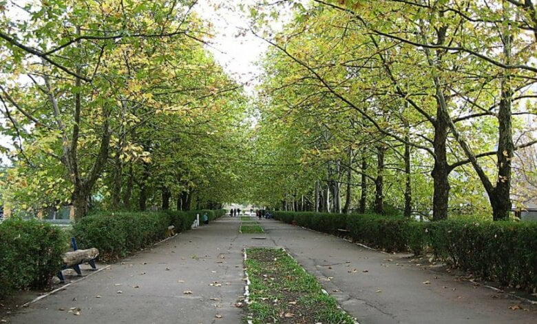 В Николаевском парке обнаружен труп 19-летнего студента | Корабелов.ИНФО