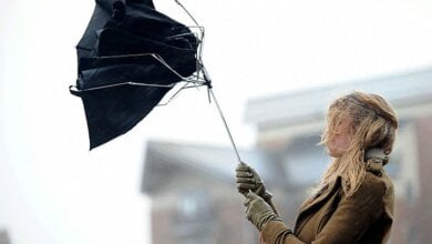 В Николаеве ожидается штормовой ветер – горожан просят быть внимательными | Корабелов.ИНФО