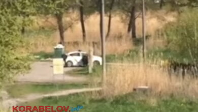 Полицейские устроили мойку машин у родника в парке "Богоявленский" | Корабелов.ИНФО