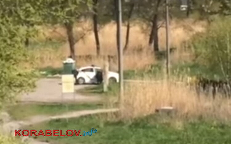 Полицейские устроили мойку машин у родника в парке "Богоявленский" | Корабелов.ИНФО