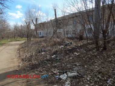 "Жить на свалке не хотелось бы», - жители Корабельного о множестве куч прошлогодней листвы и другого мусора по району | Корабелов.ИНФО image 10