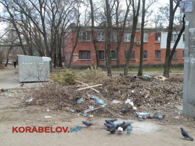 "Жить на свалке не хотелось бы», - жители Корабельного о множестве куч прошлогодней листвы и другого мусора по району | Корабелов.ИНФО image 12