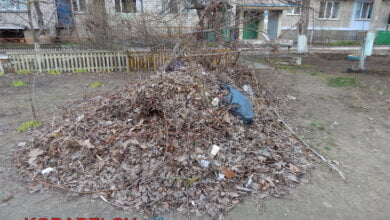 "Жить на свалке не хотелось бы», - жители Корабельного о множестве куч прошлогодней листвы и другого мусора по району | Корабелов.ИНФО image 6