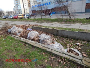 "Жить на свалке не хотелось бы», - жители Корабельного о множестве куч прошлогодней листвы и другого мусора по району | Корабелов.ИНФО image 1