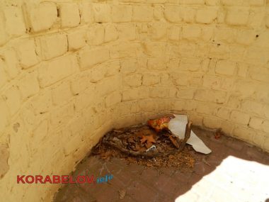 "Разве это реальность?" 9 месяцев не могут восстановить разрушенную стену "Сказки" в Корабельном, а порядка там всё меньше | Корабелов.ИНФО image 7