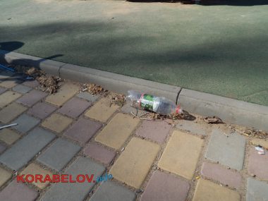 "Разве это реальность?" 9 месяцев не могут восстановить разрушенную стену "Сказки" в Корабельном, а порядка там всё меньше | Корабелов.ИНФО image 9