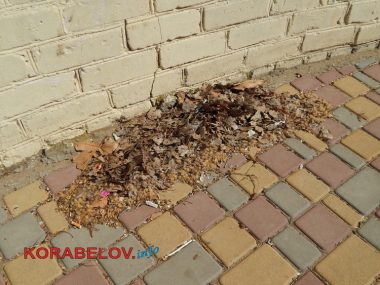 "Разве это реальность?" 9 месяцев не могут восстановить разрушенную стену "Сказки" в Корабельном, а порядка там всё меньше | Корабелов.ИНФО image 10