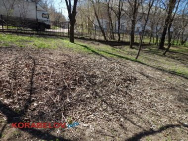 "Жить на свалке не хотелось бы», - жители Корабельного о множестве куч прошлогодней листвы и другого мусора по району | Корабелов.ИНФО image 7