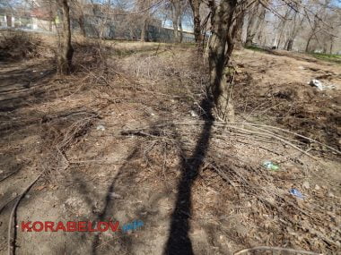 "Жить на свалке не хотелось бы», - жители Корабельного о множестве куч прошлогодней листвы и другого мусора по району | Корабелов.ИНФО image 8