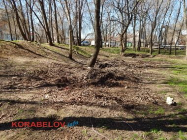 "Жить на свалке не хотелось бы», - жители Корабельного о множестве куч прошлогодней листвы и другого мусора по району | Корабелов.ИНФО image 9