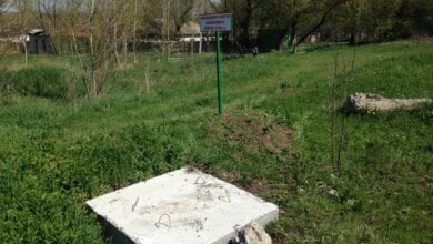 Могут, когда хотят. В парке "Богоявленский" навели порядок | Корабелов.ИНФО