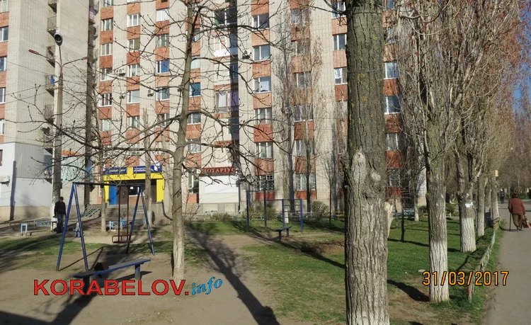 "Чистой воды афера"? Люди не хотят стройки под окнами своего общежития в Корабельном, но власть их не слышит | Корабелов.ИНФО image 3
