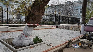 На укладку плитки на тротуаре в 70 метров мэрия Николаева заплатила четверть миллиона гривен | Корабелов.ИНФО image 1