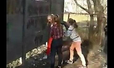 В Чернигове школьницы жестоко избивали ногами девочку на глазах у других подростков | Корабелов.ИНФО image 1