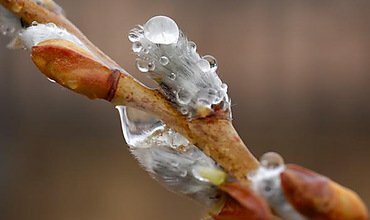 В Украину идет похолодание, которое продержится неделю | Корабелов.ИНФО