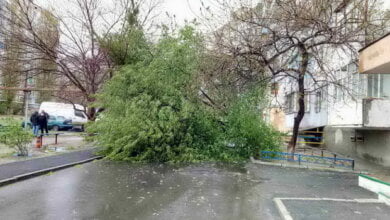 "Сколько времени займет уборка упавших от непогоды деревьев?", - жители Корабельного района | Корабелов.ИНФО image 2