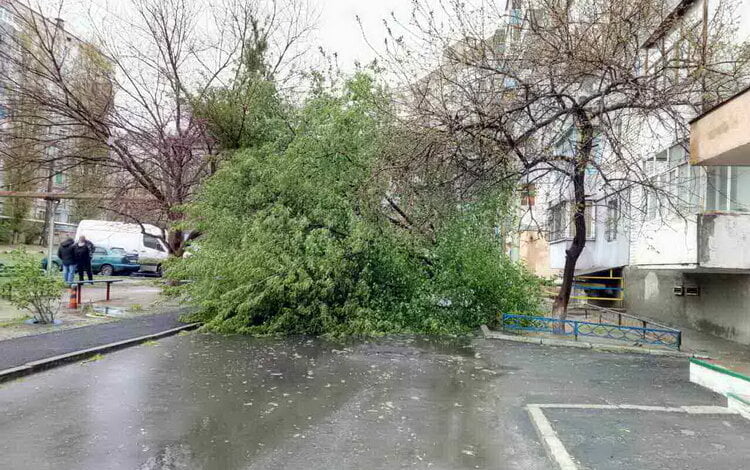 "Сколько времени займет уборка упавших от непогоды деревьев?", - жители Корабельного района | Корабелов.ИНФО image 2