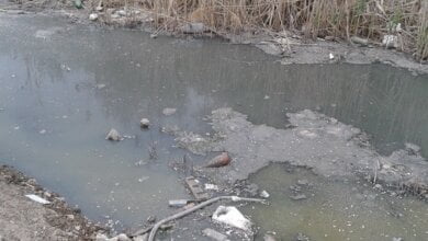 В озеро с канализацией, в котором погряз автомобиль, снова сливают нечистоты. Жители Корабельного района бьют тревогу | Корабелов.ИНФО image 1