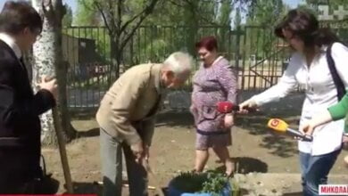 20 тысяч деревьев посадил в Николаеве житель Корабельного района, бывший энергетик НГЗ | Корабелов.ИНФО