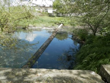 "Это сплошная канализационная канава": еще одно зловонное озеро образовалось в Корабельном районе за последний месяц | Корабелов.ИНФО image 3