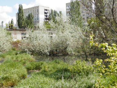 "Это сплошная канализационная канава": еще одно зловонное озеро образовалось в Корабельном районе за последний месяц | Корабелов.ИНФО image 4