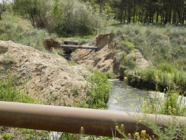 "Это сплошная канализационная канава": еще одно зловонное озеро образовалось в Корабельном районе за последний месяц | Корабелов.ИНФО image 2