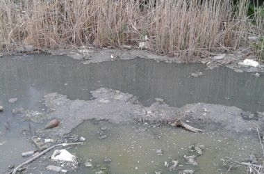 В озеро с канализацией, в котором погряз автомобиль, снова сливают нечистоты. Жители Корабельного района бьют тревогу | Корабелов.ИНФО image 3