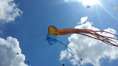 Фестиваль воздушных змеев покорил сердца николаевцев | Корабелов.ИНФО image 1