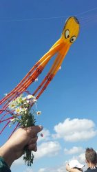 Фестиваль воздушных змеев покорил сердца николаевцев | Корабелов.ИНФО image 3