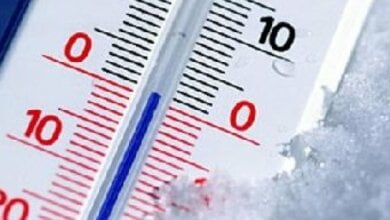 Ночь с 10 на 11 мая в Николаеве стала самой холодной за весь период наблюдений синоптиков | Корабелов.ИНФО