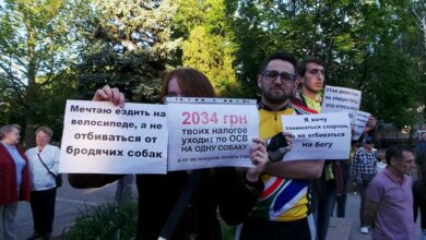 «Их нужно усыплять», - в Николаеве активисты требовали от мэра решить проблему бродячих собак | Корабелов.ИНФО image 1