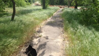 Еще один провал на улице Ольжича: канализация размыла асфальт, он держится только за счет корней деревьев | Корабелов.ИНФО image 3