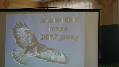 "І не забуваймо, що в кожного з нас є крила. Вони з нами завжди", - доросло стверджує Аня Плаз | Корабелов.ИНФО image 4