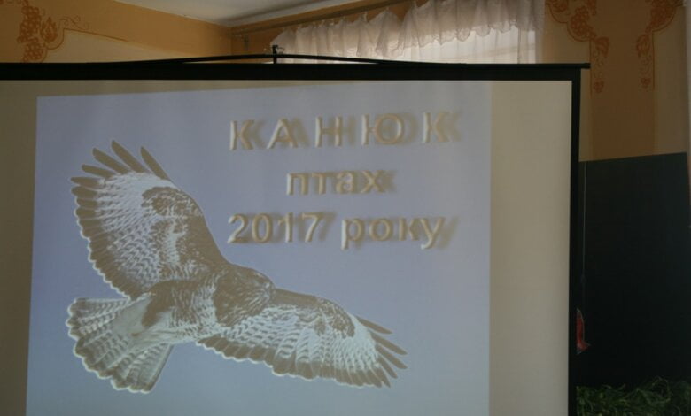 "І не забуваймо, що в кожного з нас є крила. Вони з нами завжди", - доросло стверджує Аня Плаз | Корабелов.ИНФО image 4
