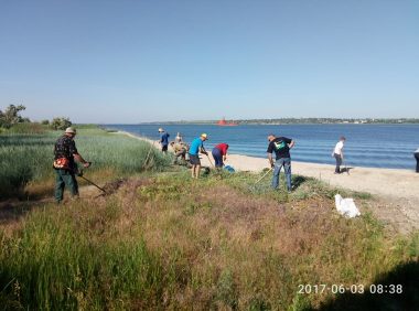 Активісти прибрали узбережжя в Широкій Балці і почали висаджувати там алею | Корабелов.ИНФО image 3