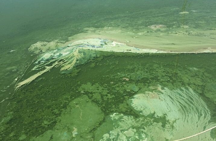 "Самовлюбленные брехуны", - заверения чиновников об отмене выгрузки грунта в Корабельном оказались пустым звуком | Корабелов.ИНФО image 1