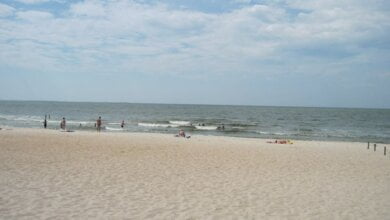 Отдохнуть в Очакове за счет Николаевского областного бюджета смогут участники АТО со своими семьями | Корабелов.ИНФО image 1