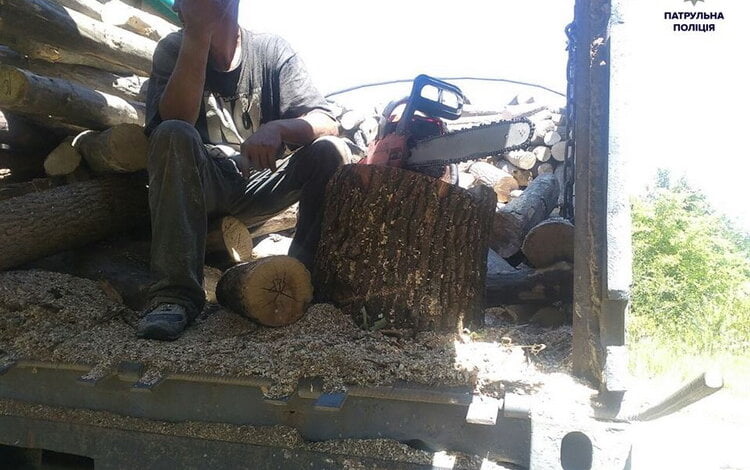 "Просто загрузились у Корабельному". Патрульні затримали чоловіків, які ймовірно причетні до незаконної порубки лісу | Корабелов.ИНФО image 1