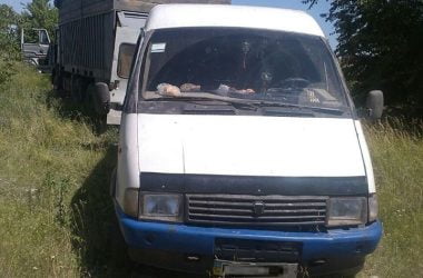 "Просто загрузились у Корабельному". Патрульні затримали чоловіків, які ймовірно причетні до незаконної порубки лісу | Корабелов.ИНФО image 5