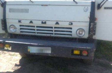 "Просто загрузились у Корабельному". Патрульні затримали чоловіків, які ймовірно причетні до незаконної порубки лісу | Корабелов.ИНФО image 3