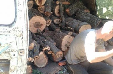 "Просто загрузились у Корабельному". Патрульні затримали чоловіків, які ймовірно причетні до незаконної порубки лісу | Корабелов.ИНФО image 4