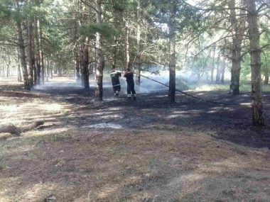 Причина займання - підпал. Рятувальники гасили вогонь площею понад 2 га у Балабанівському та Лиманівському лісах | Корабелов.ИНФО image 3