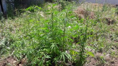 Великий канал наркопостачання та притон, організований у Корабельному районі (біля "Жуківського" кільця) ліквідовано | Корабелов.ИНФО image 4