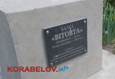 "Как бы беды не случилось": на дороге в Корабельном районе, под которой протекает речушка, провалился асфальт | Корабелов.ИНФО image 9