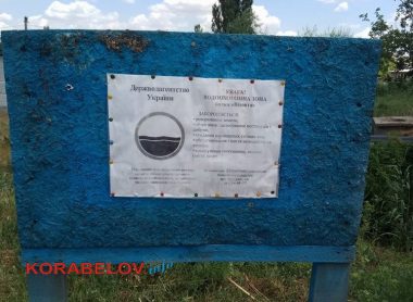 "Как бы беды не случилось": на дороге в Корабельном районе, под которой протекает речушка, провалился асфальт | Корабелов.ИНФО image 4