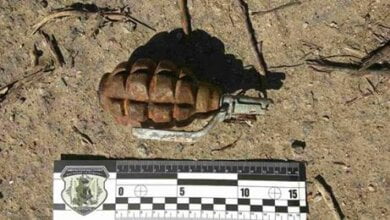 Боевую гранату нашли на пустыре в Николаеве | Корабелов.ИНФО image 1