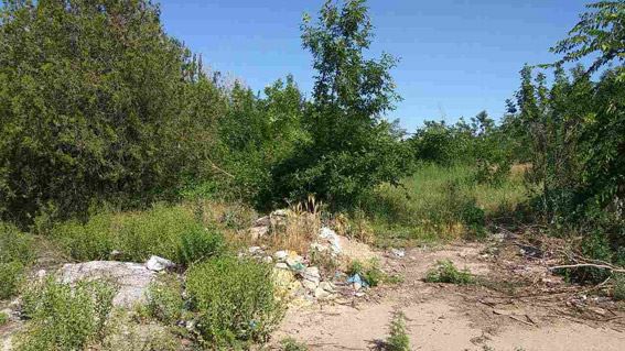 Боевую гранату нашли на пустыре в Николаеве | Корабелов.ИНФО image 2