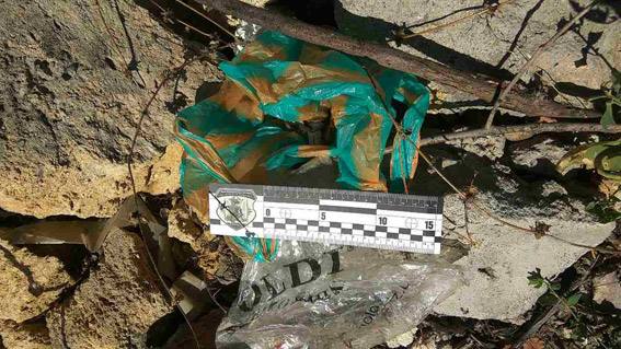 Боевую гранату нашли на пустыре в Николаеве | Корабелов.ИНФО image 3