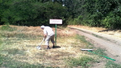 Збережемо чистоту на водосховищі у Корабельному! Побачили, хто смітить - телефонуйте! | Корабелов.ИНФО image 1