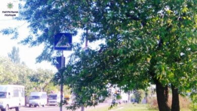 Дорожные знаки будут виднее: в Корабельном районе обрезают ветки деревьев над проезжей частью улиц | Корабелов.ИНФО